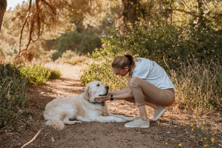 Nueva ley bienestar animal Carlino estudiando con libros