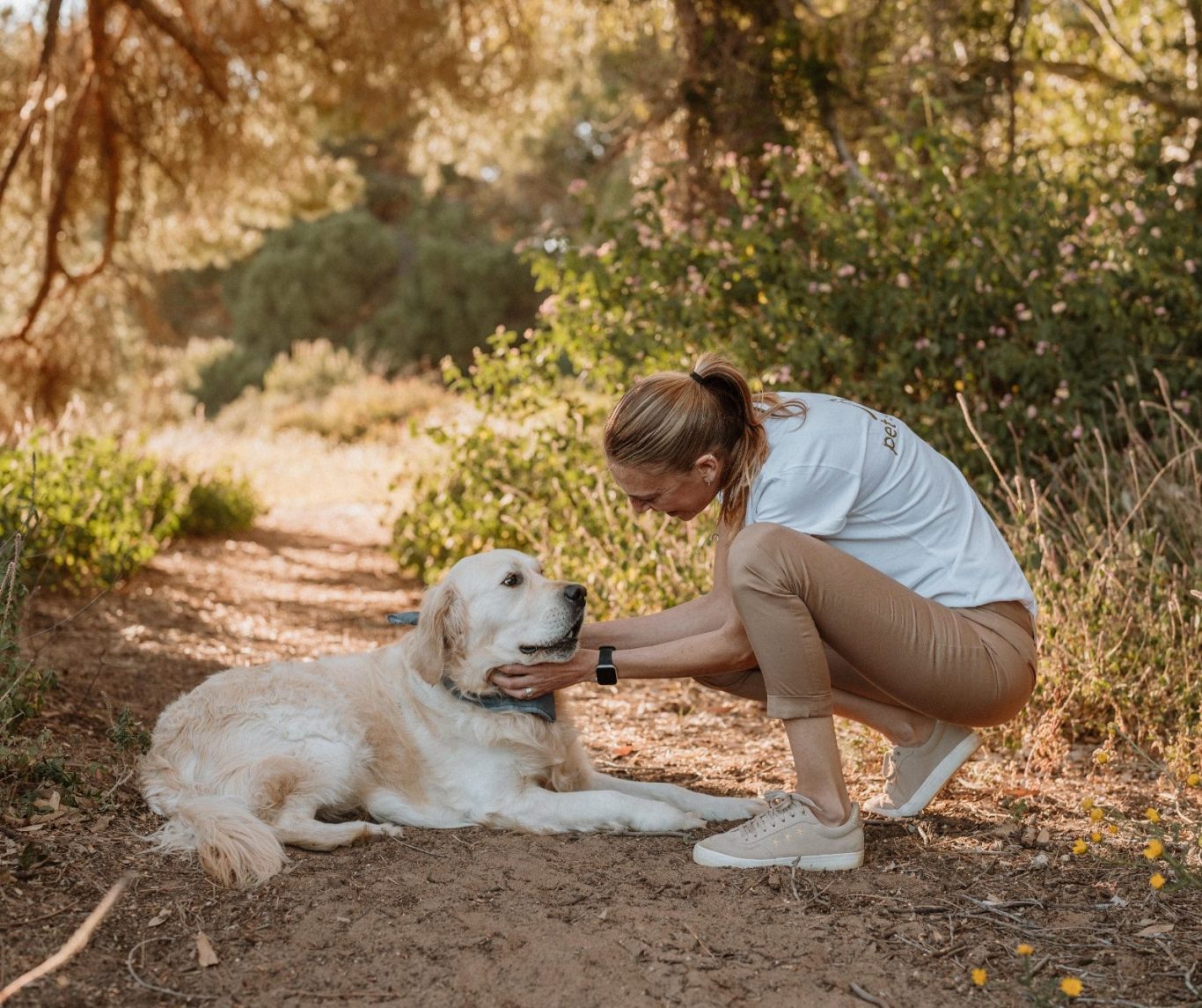 besos de perros nueva ley bienestar animal
